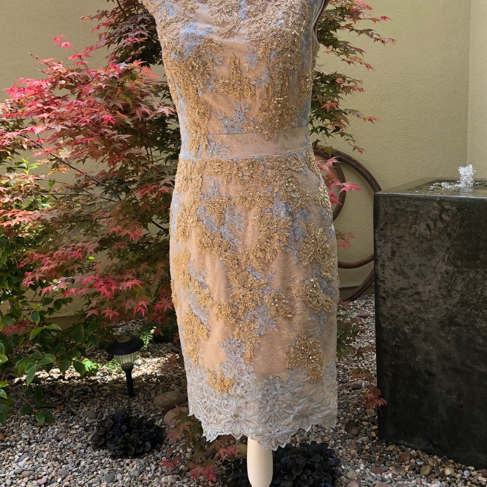 COPY - Semi Formal Dress - MOB perhaps (worn 1 time)